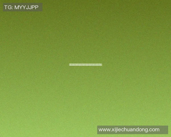 巴西与捷克友谊赛精彩对决展现足球魅力与激情碰撞