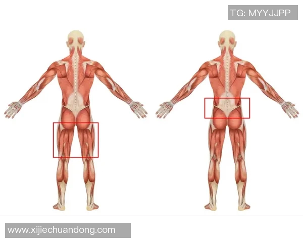 体育锻炼对男性性能力的积极影响及其科学原理探讨