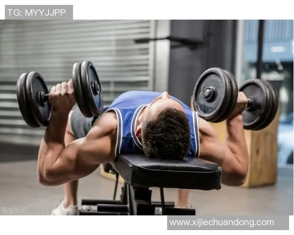 全面提升胸肌力量的哑铃训练指南与技巧分享